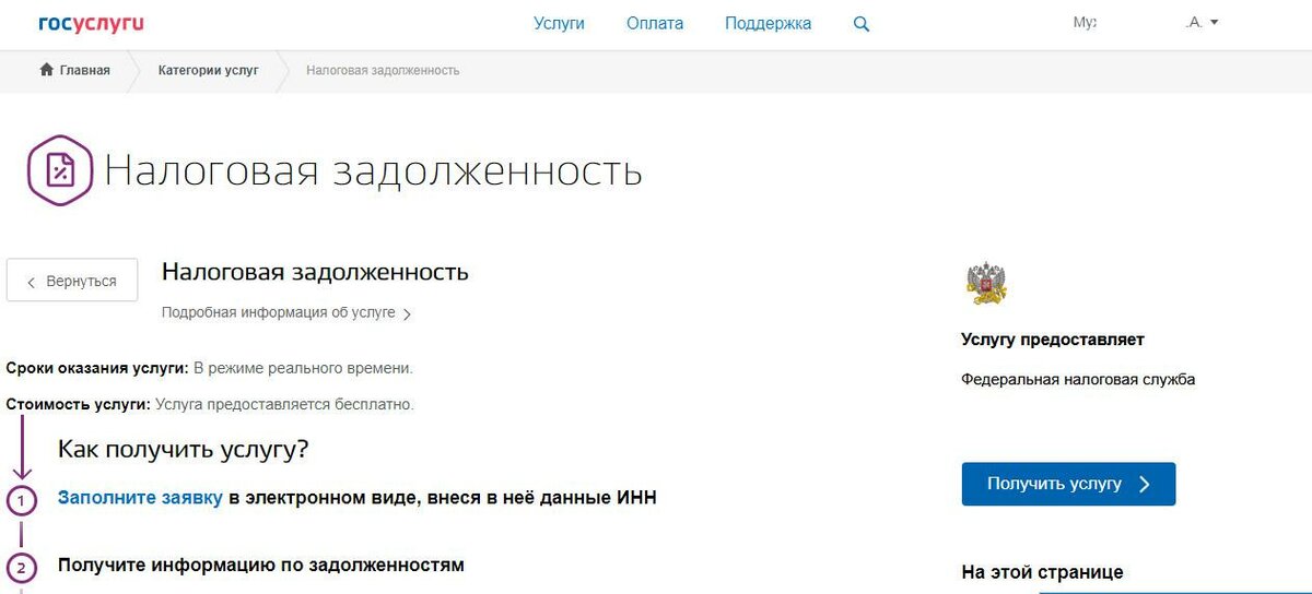 Ип долгов инн. Что такое задолженность по ИНН госуслуги. Налоговая задолженность по ИНН. Госуслуги заплатить налоги по ИНН физического.