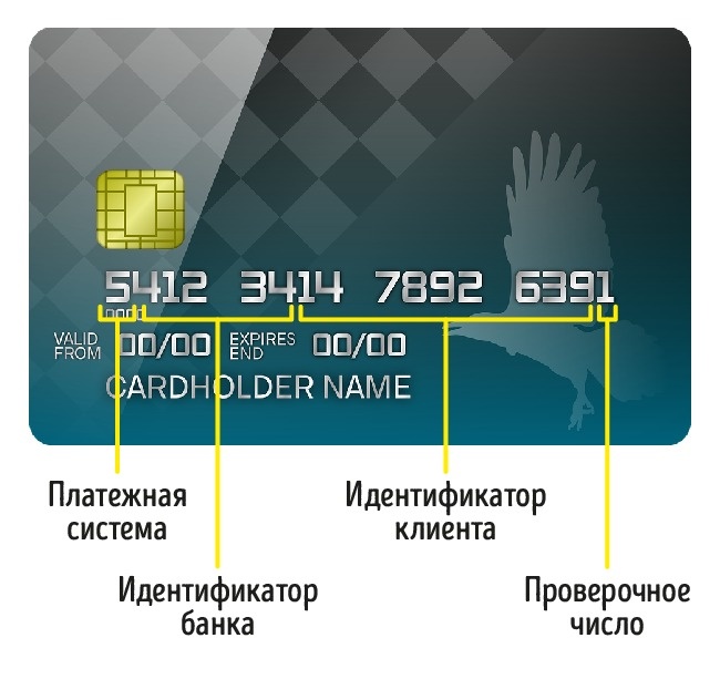 Как узнать номер кредитной карты: места, явки, пароли