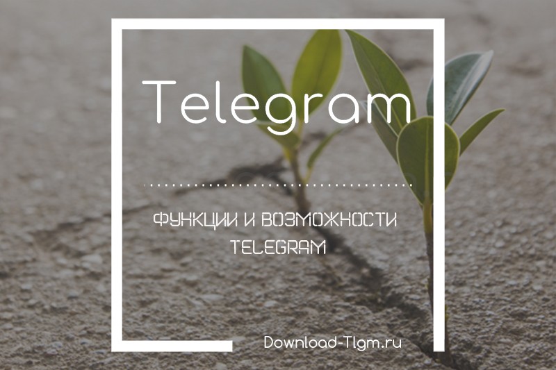 Функции и возможности Telegram