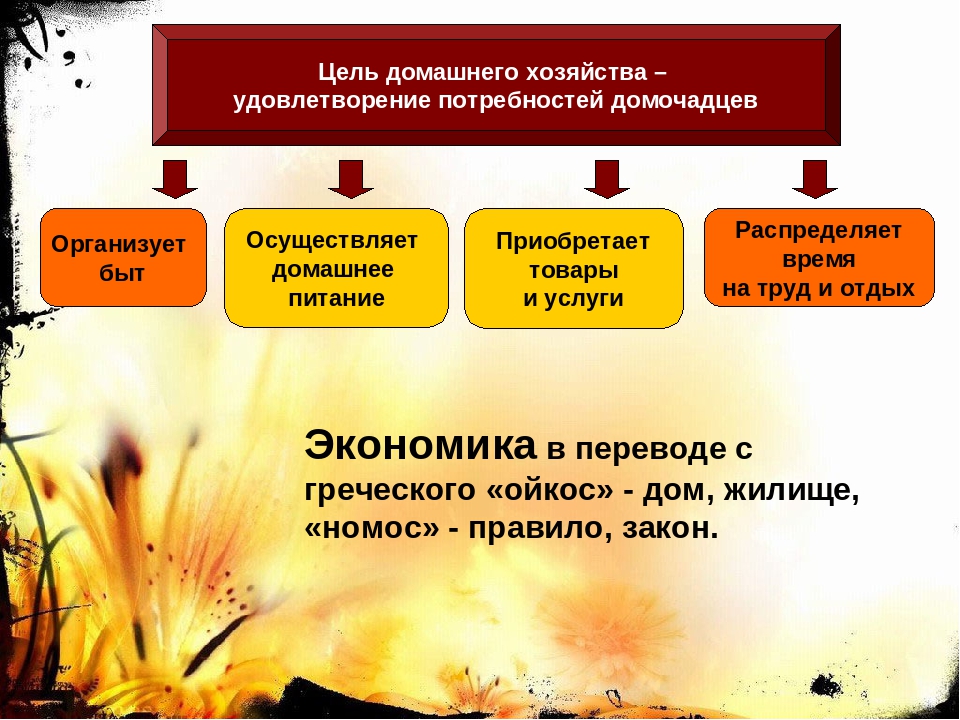 Функции домохозяйства обществознание. Правила рационального ведения хозяйства. Принципы рационального ведения домашнего хозяйства. Хозяйство это в обществознании. Принципы рационального ведения домашнего хозяйства Обществознание.