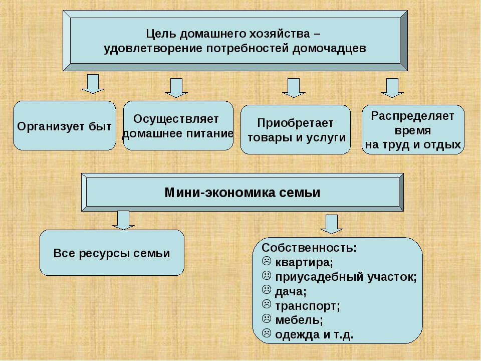 Домашнее хозяйство обществознание. Цели домашнего хозяйства. Цели домохозяйства.