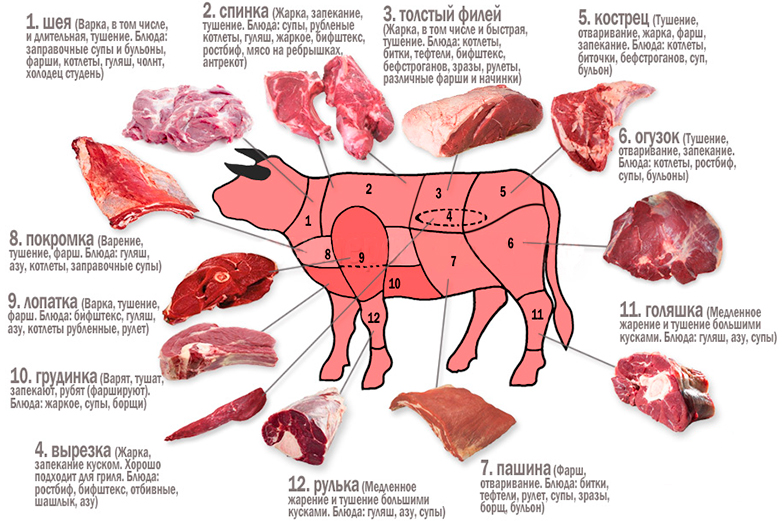 мясо говядины