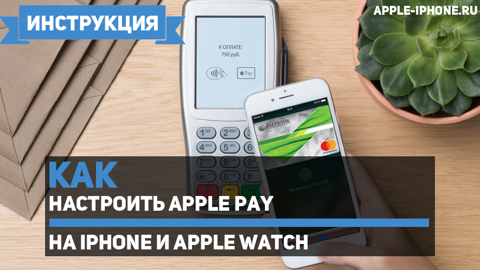 Как настроить Apple Pay на iPhone и Apple Watch