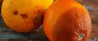 Гнилые апельсины